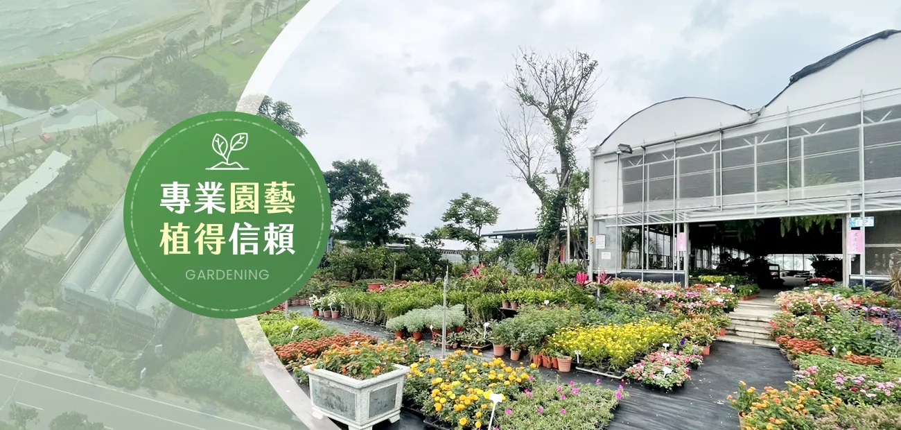 千惠園藝社｜樹木褐根病防治・樹木外科手術・校園樹木專業保育