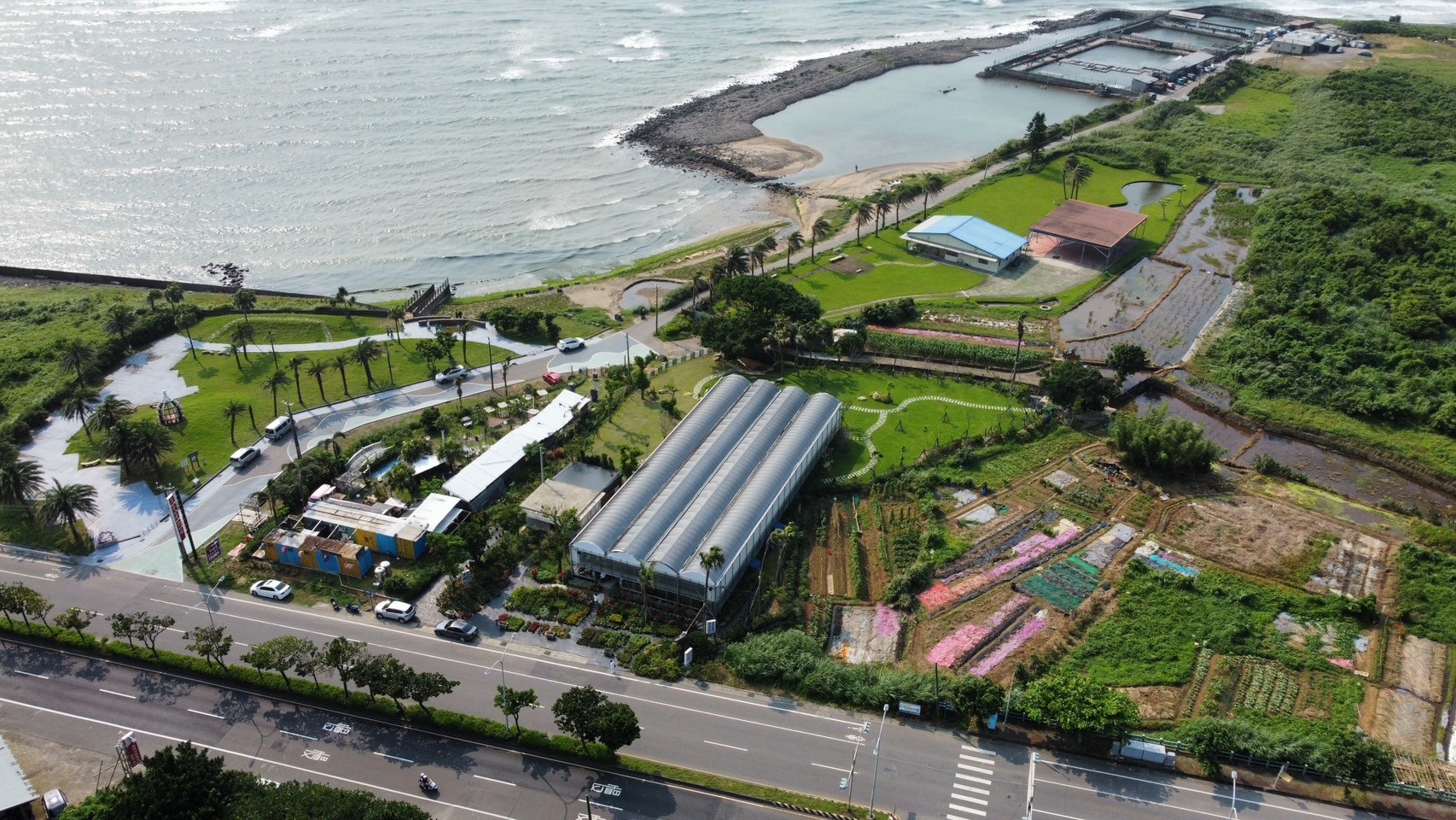 千惠園藝社樹木保育與健康管理作業紀錄