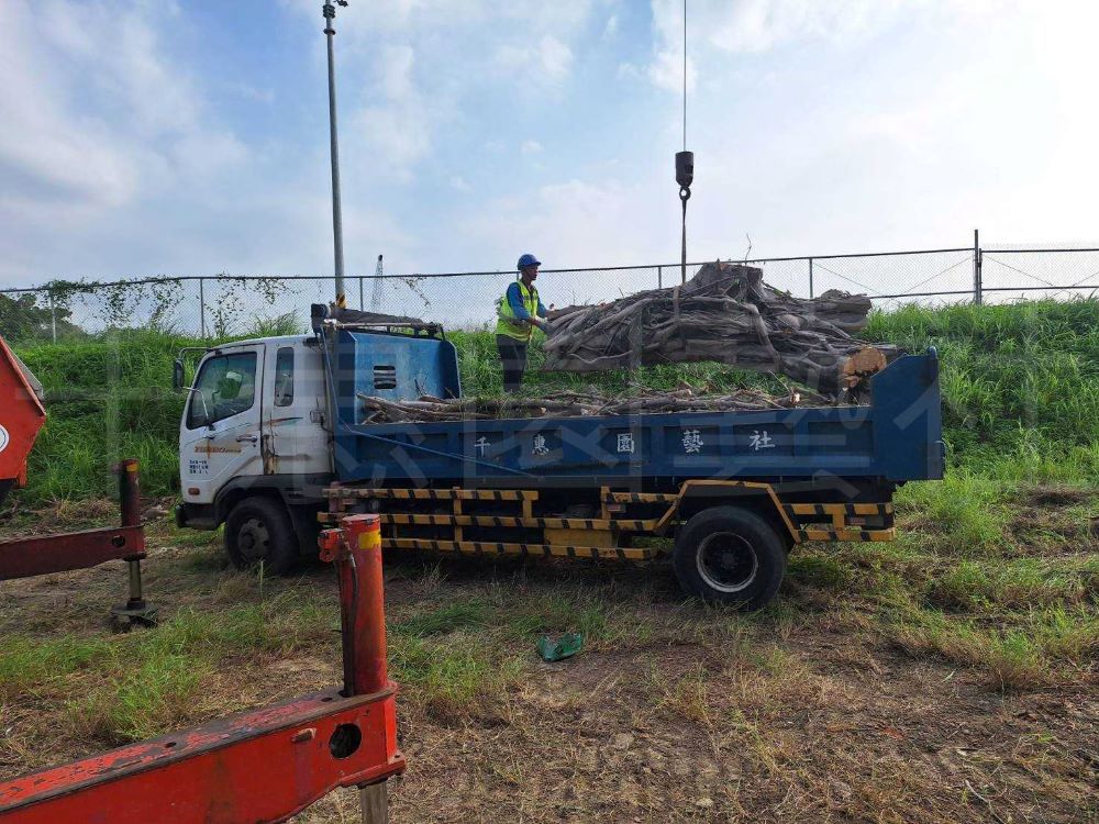 褐根病防治作業現場照片一