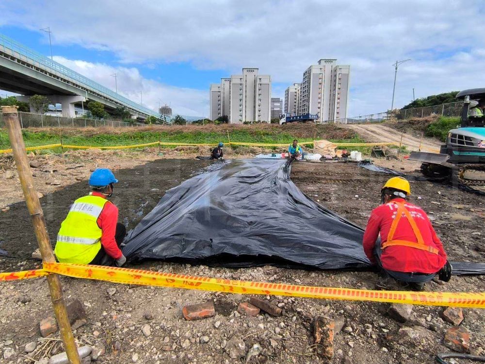 褐根病防治作業現場照片二