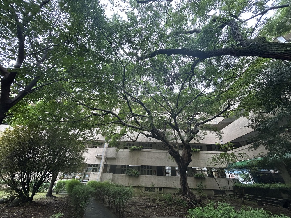 樹木病蟲害與防治作業照片