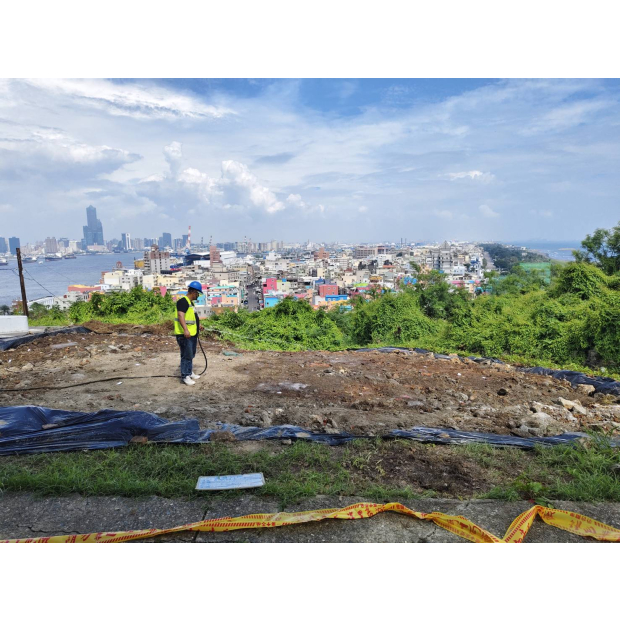 高雄燈塔樹木褐根病防治