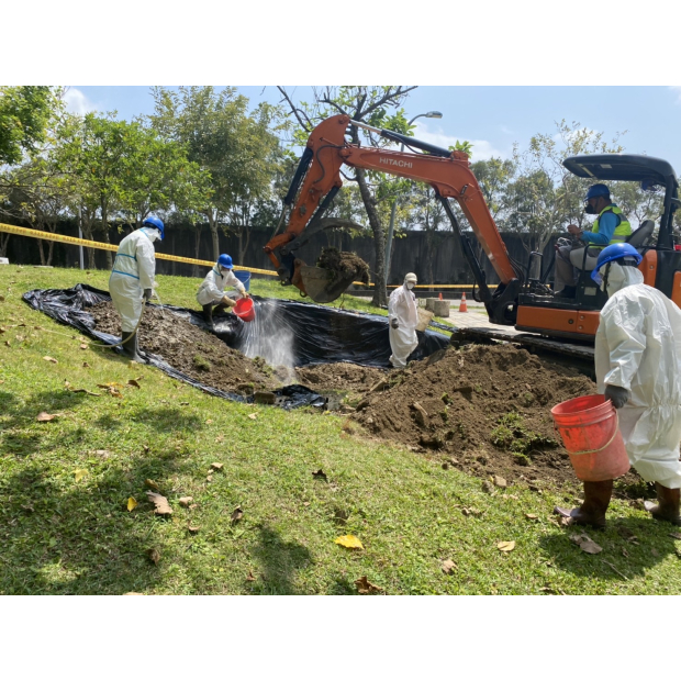 臺北市政府公燈處褐根病防治