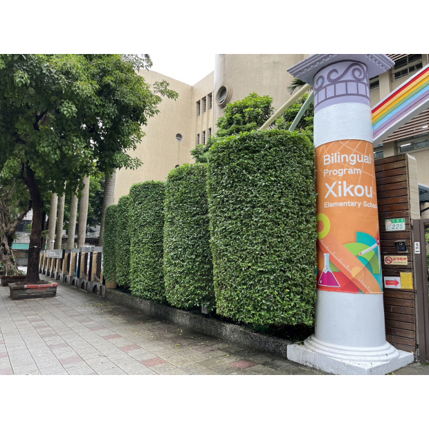 溪口國小造型修剪