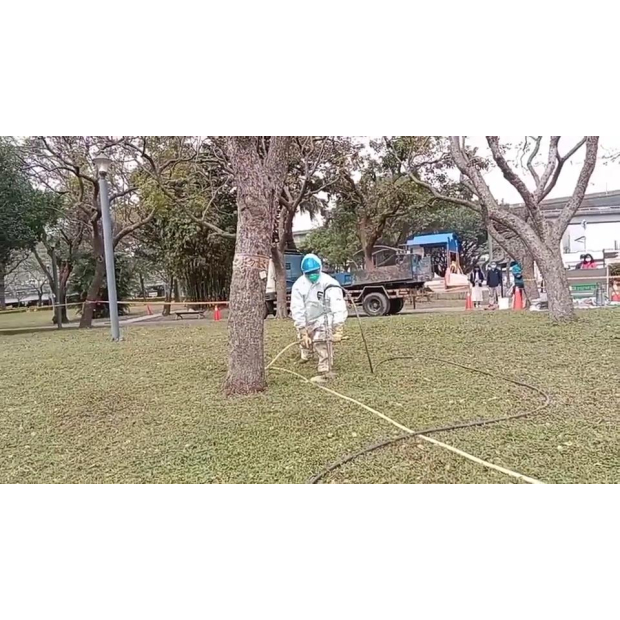 臺北市政府藥劑灌注