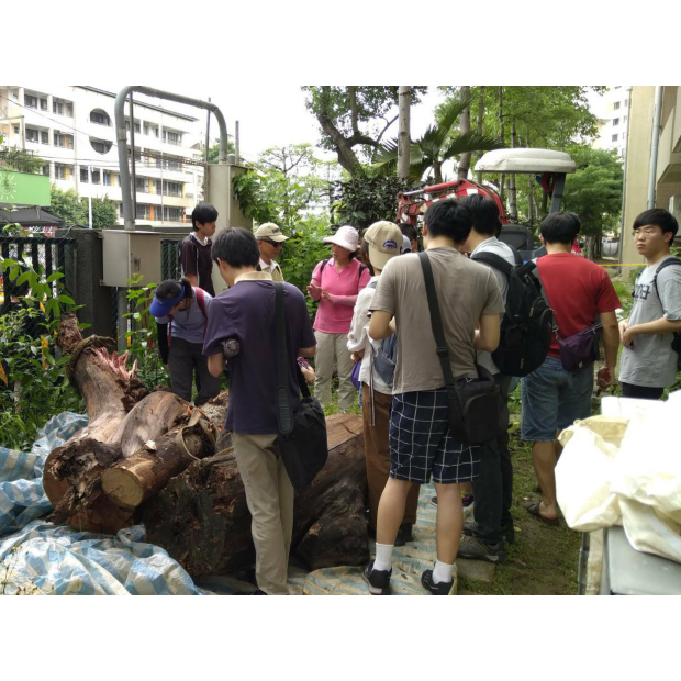 香港樹藝團體褐根病防治示範施作張東柱博士講解
