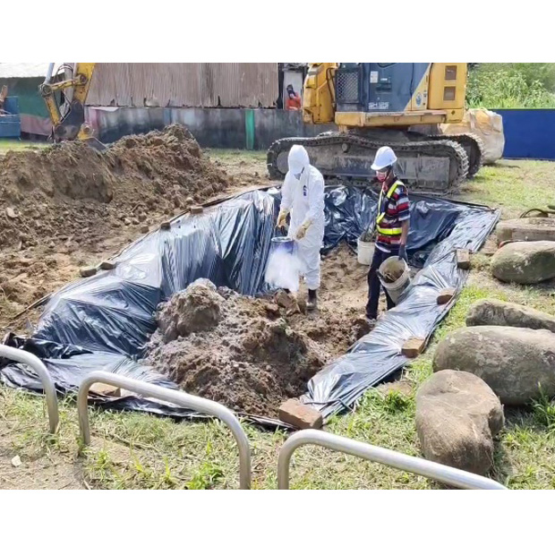 臺南市白河區玉豐國小褐根病防治