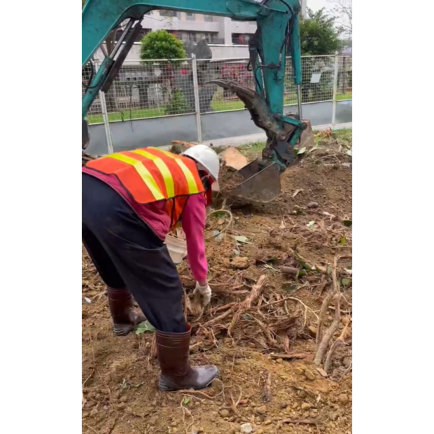 螢幕擷取畫面 2024-12-25 161156.jpg