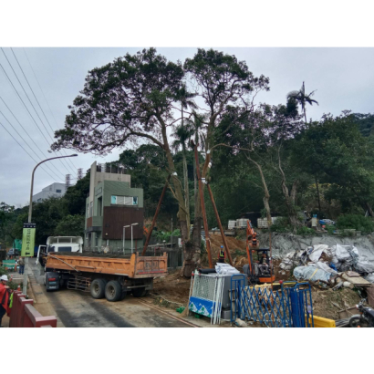 臺北市政府公燈處受保護樹木移植