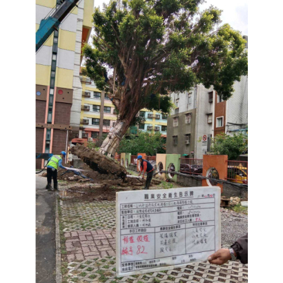 浩然敬老院樹木移植