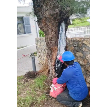 螢幕擷取畫面 2024-08-06 115606.jpg