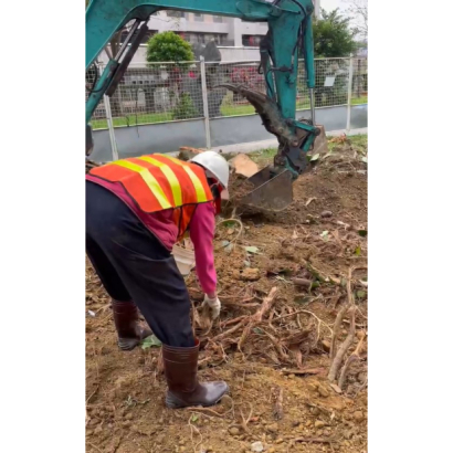 螢幕擷取畫面 2024-12-25 161156.jpg