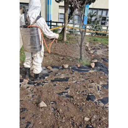 螢幕擷取畫面 2024-12-31 135533.jpg